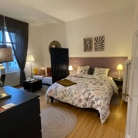 Appartement Cosy- Calme Et Confort Au Cœur De Mulhouse