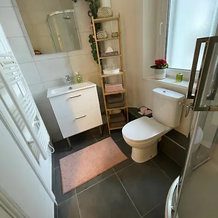Cosy- Calme Et Confort Au Cœur De * Mulhouse