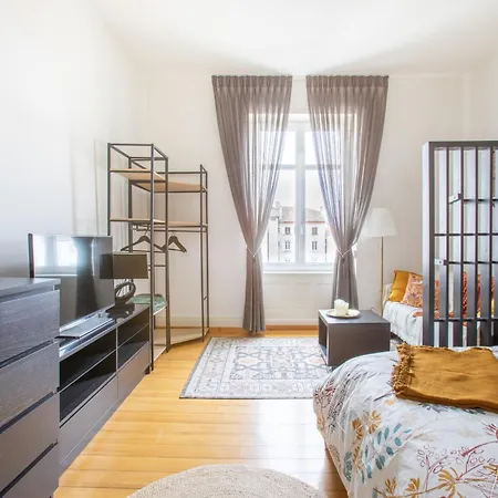 Apartment Studio Cosy- Calme Et Confort Au Coeur De Mulhouse *